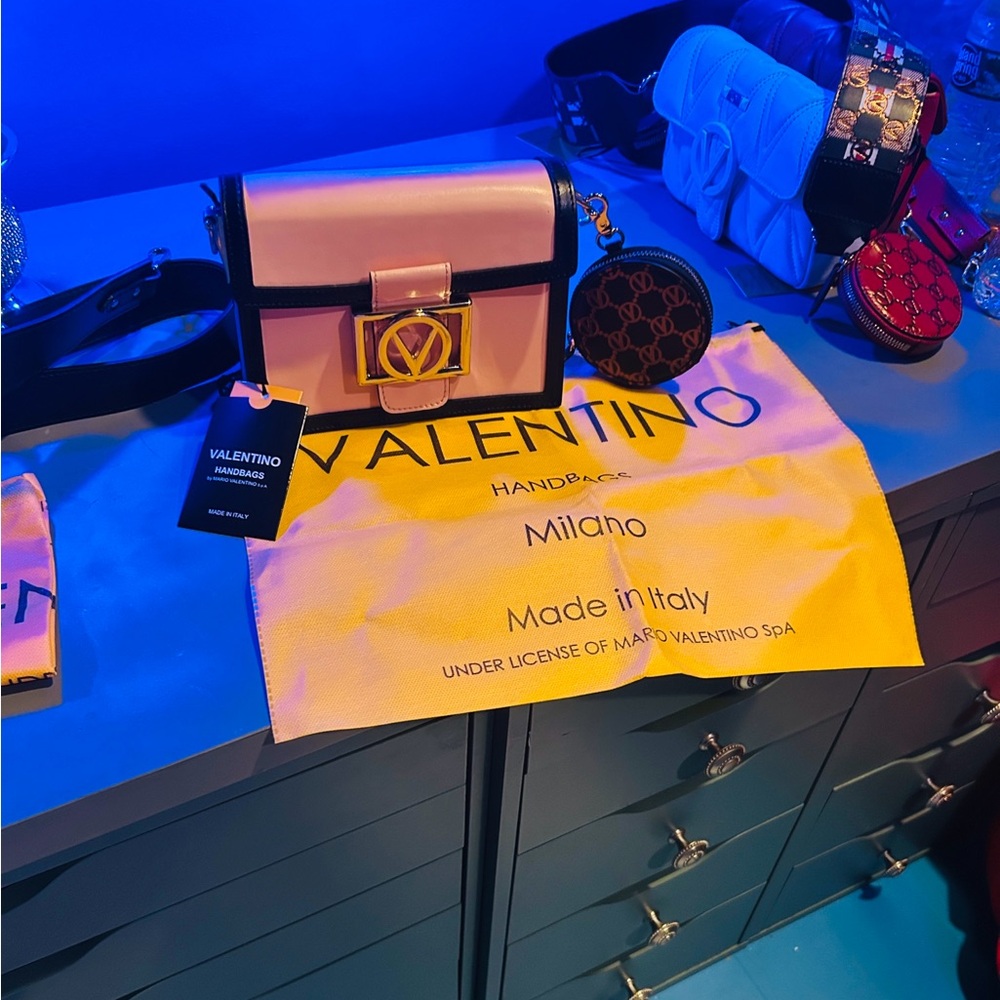 Valentino by Mario Valentino Pink and Black Handbag